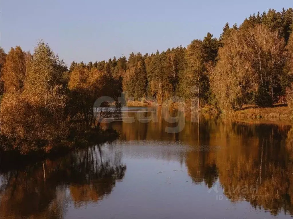 Участок в Московская область, Ступино городской округ, Шелково Парк кп ... - Фото 2