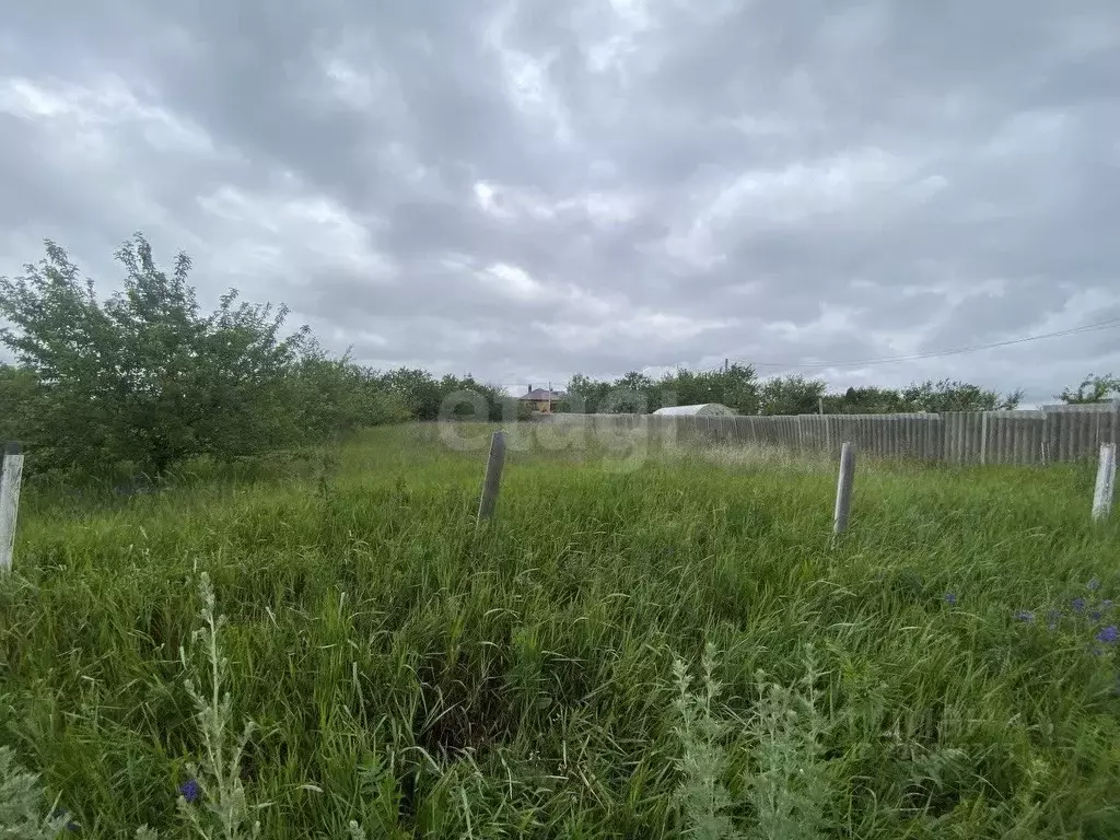 Участок в Белгородская область, Белгородский район, с. Стрелецкое, ... - Фото 1