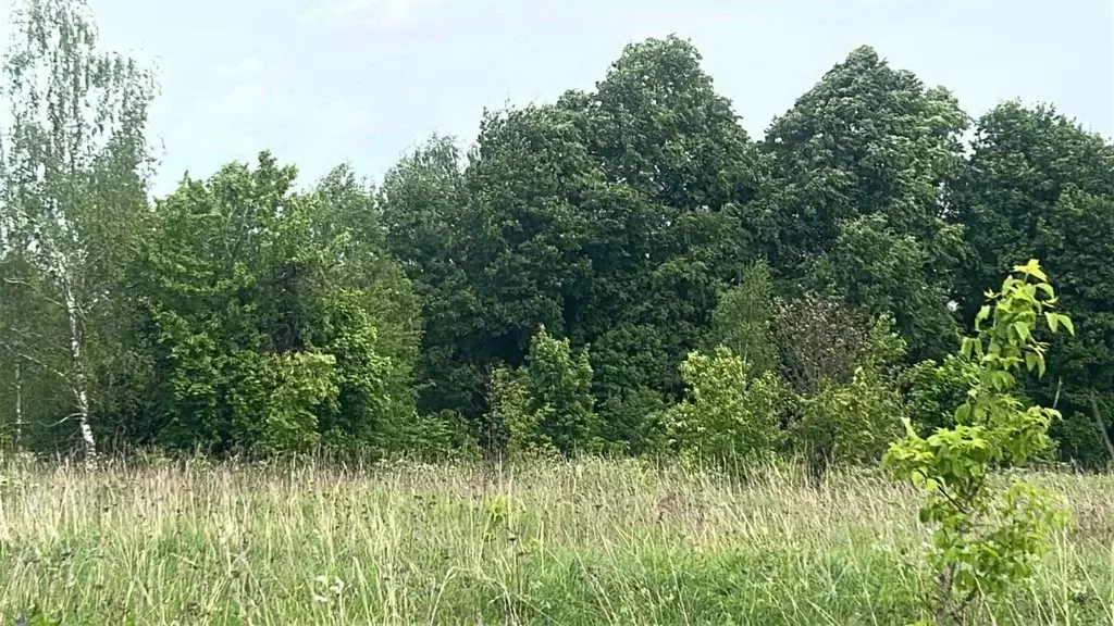 Участок в Московская область, Ступино городской округ, д. Белыхино  ... - Фото 1