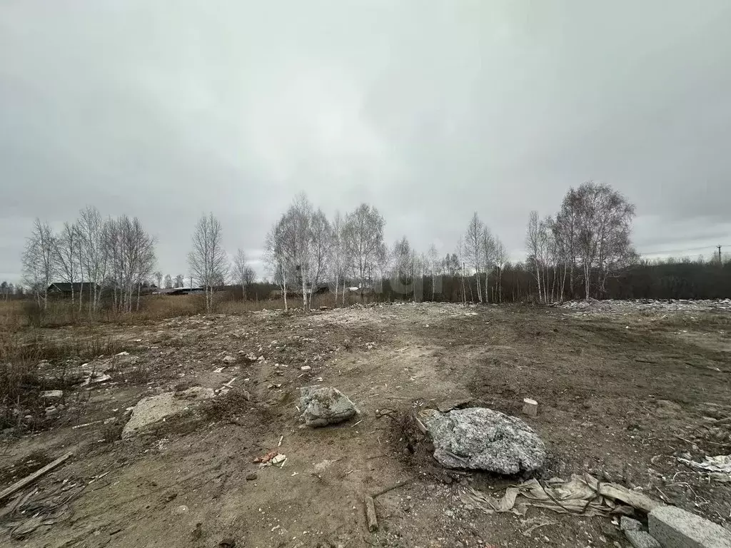 Участок в Тюменская область, Тюмень Поле Чудес садовое товарищество, ... - Фото 1