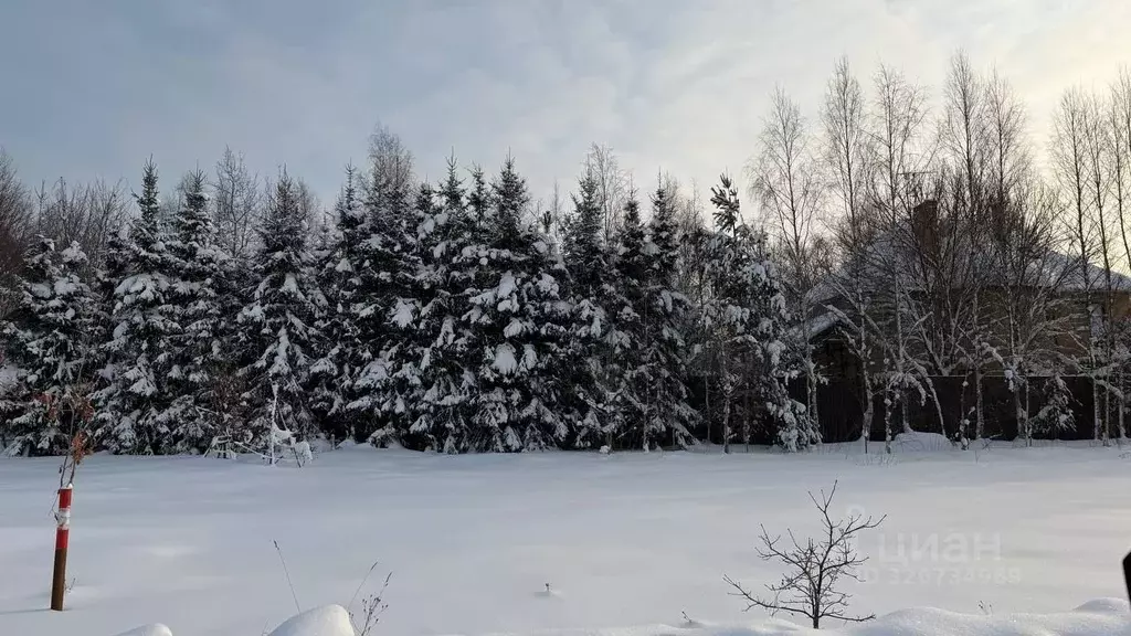 Участок в Московская область, Наро-Фоминский городской округ, Кедрица ... - Фото 1