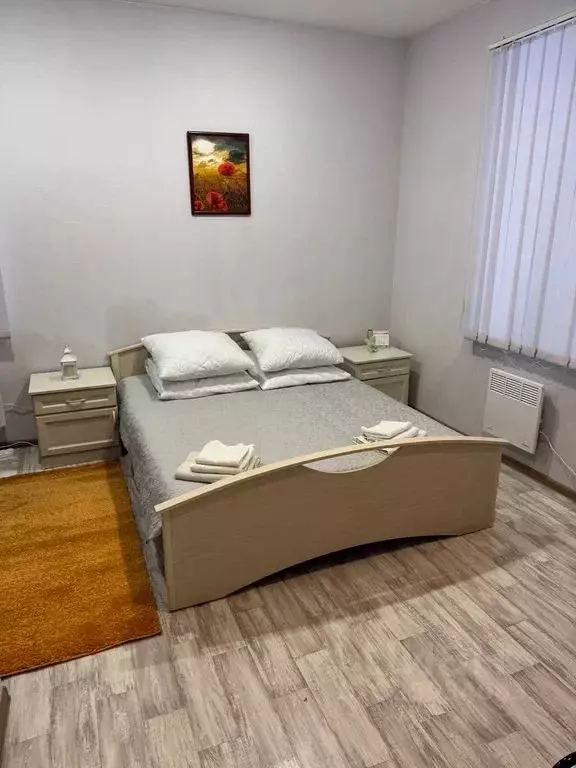 1-к кв. Псковская область, Гдов ул. Яна Фабрициуса, 25 (20.0 м) - Фото 2