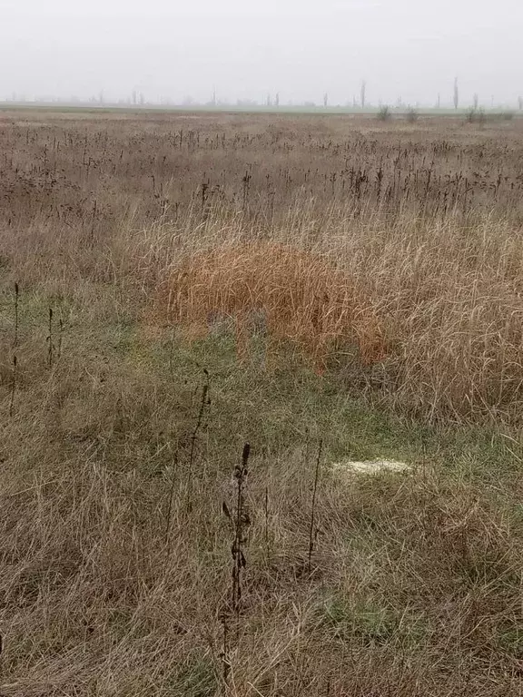 Участок в Крым, Сакский район, с. Митяево  (11.81 сот.) - Фото 0