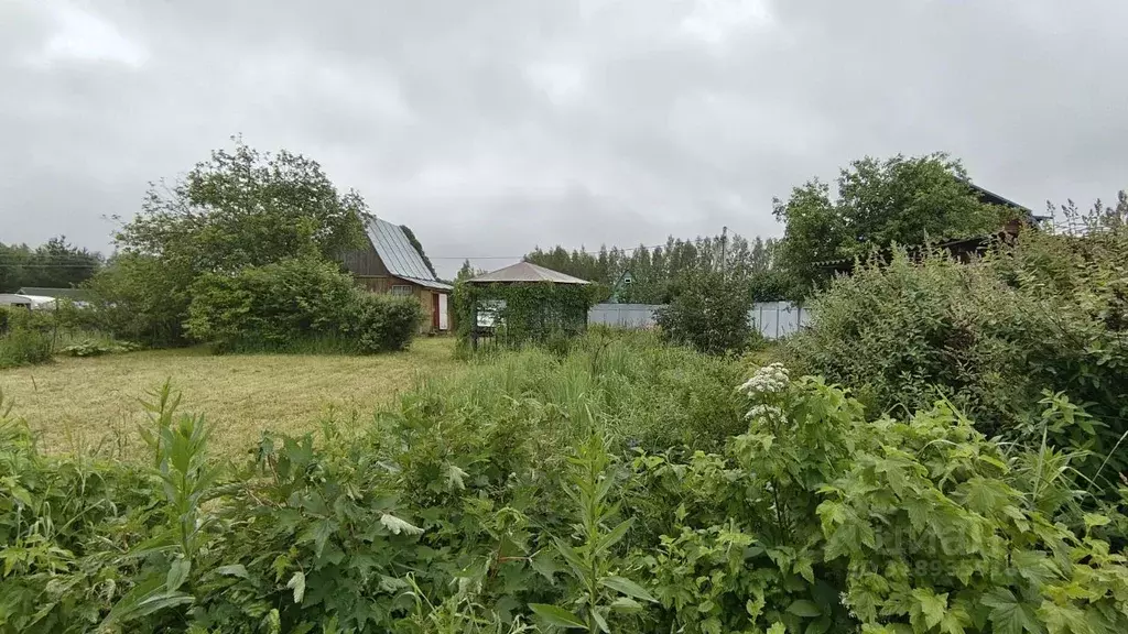Дом в Владимирская область, Александровский муниципальный округ, ... - Фото 2