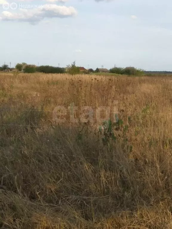 Участок в Нижневедугское сельское поселение, СНТ Ведуга, 4-я Садовая ... - Фото 1