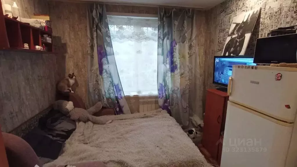 Студия Красноярский край, Красноярск ул. Славы, 11 (15.0 м) - Фото 1