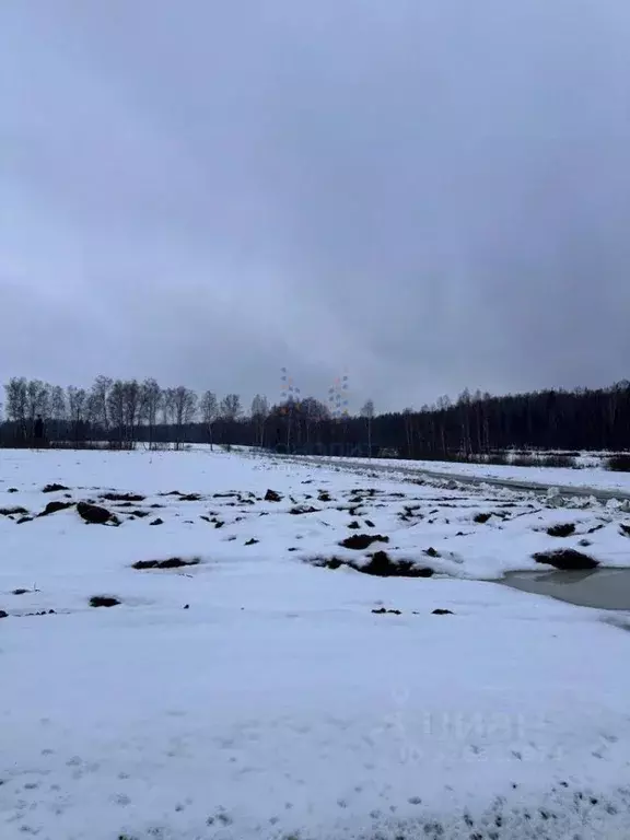 Участок в Москва № 177А кв-л, 252 (7.48 сот.) - Фото 1