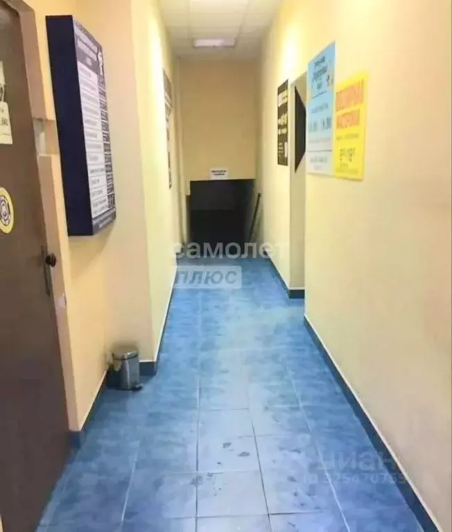 Помещение свободного назначения в Курская область, Курск ул. Павлова, ... - Фото 2