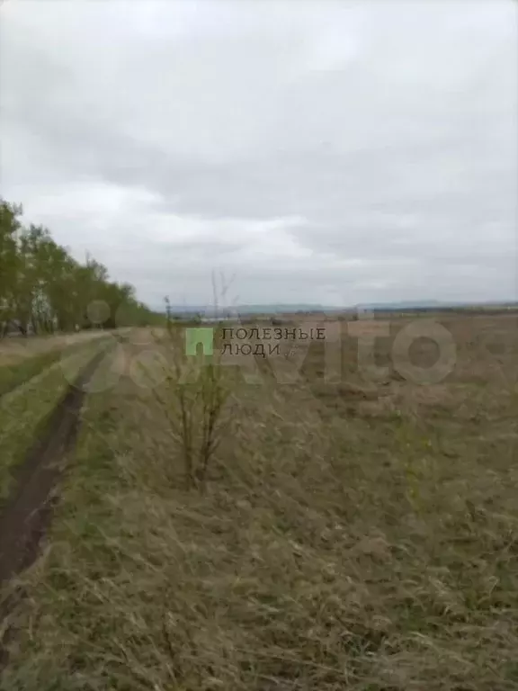 Участок 5,8 га (СНТ, ДНП) - Фото 0