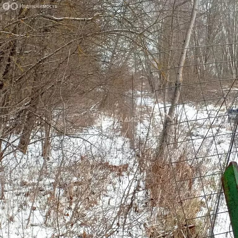 Участок в Московская область, городской округ Коломна, деревня ... - Фото 2