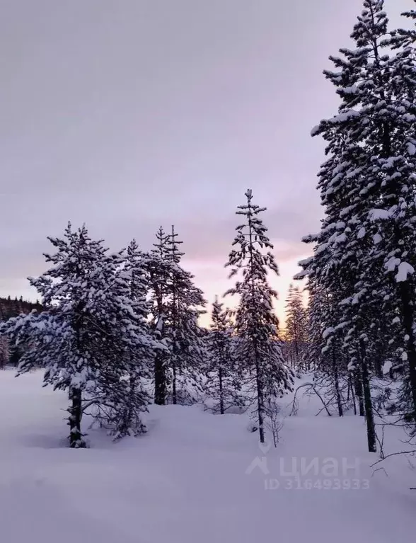 Участок в Ленинградская область, Приозерский район, Громовское с/пос, ... - Фото 0