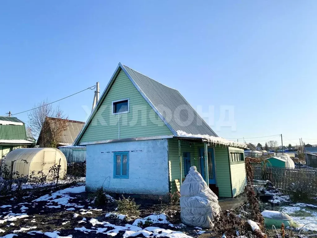 Дом в Новосибирская область, Тогучинский район, Горный рп, Новинка СНП ... - Фото 1