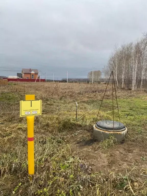 Участок в Новосибирская область, Новосибирский район, Толмачевский ... - Фото 1