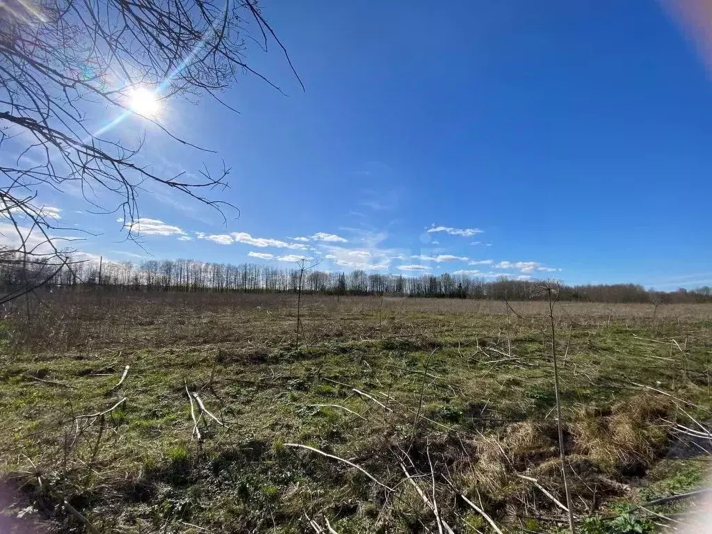 Участок в Ленинградская область, Волховский район, Бережковское с/пос, ... - Фото 1