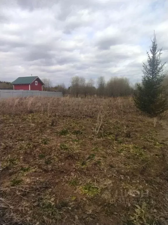 Участок в Пермский край, Пермский район, Подборный кв-л  (14.2 сот.) - Фото 2