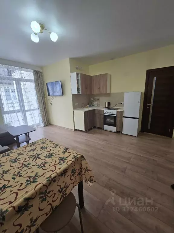 Студия Краснодарский край, Сочи ул. Яна Фабрициуса, 66/2 (26.0 м) - Фото 1