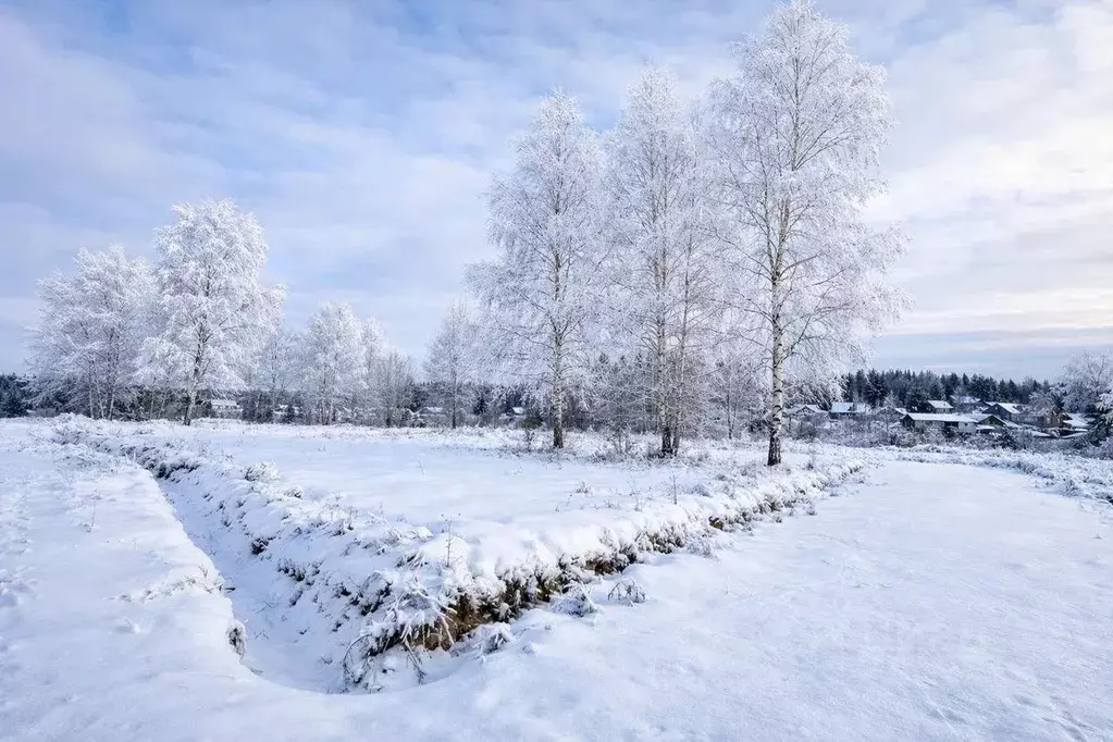 Участок, 5.6 сот., поселения (ижс) - Фото 2