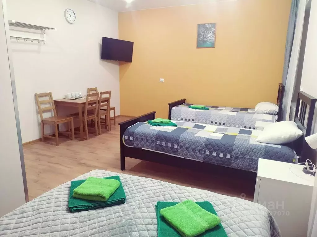 Комната Санкт-Петербург пос. Песочный, ул. Карла Маркса, 58 (25.0 м) - Фото 1
