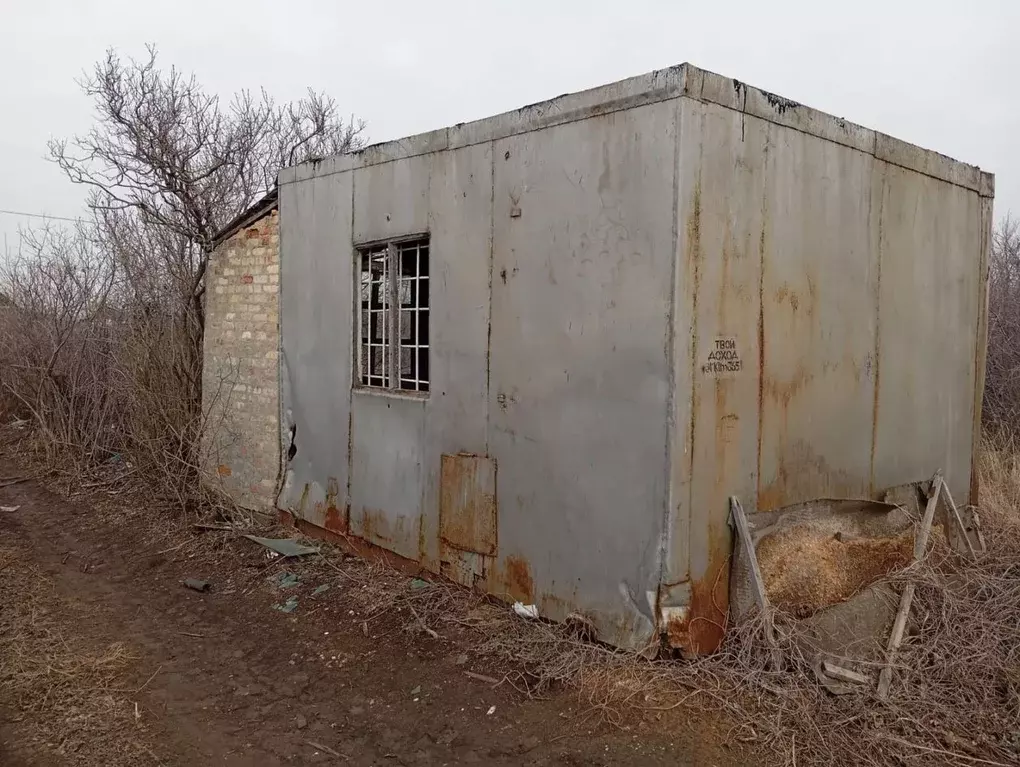 Участок в Оренбургская область, Оренбургский район, Экспериментальный ... - Фото 1