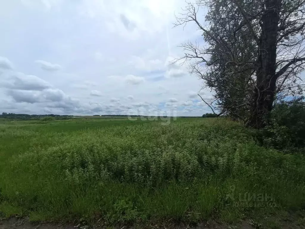 Участок в Амурская область, Благовещенск Лесник СТ,  (8.0 сот.) - Фото 1