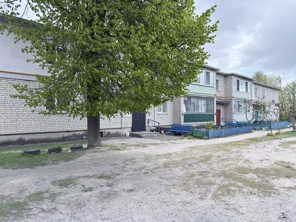 1-к кв. Брянская область, Навля рп ул. Мелиораторов, 1 (39.8 м) - Фото 0