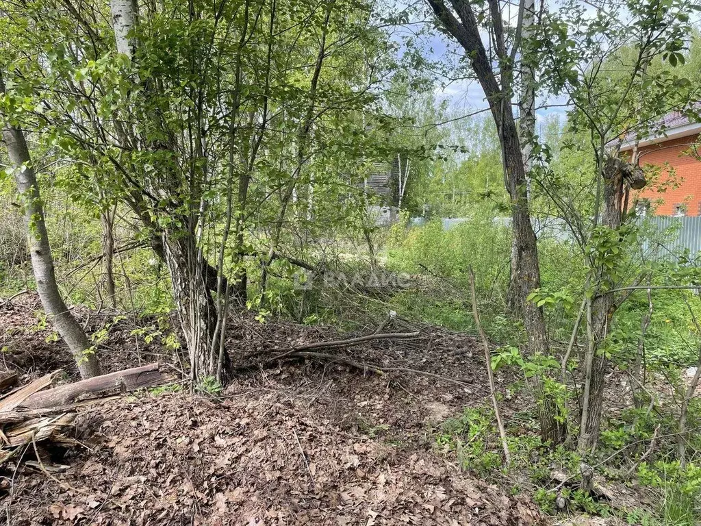 Участок, 15 сот., поселения (ижс) - Фото 2