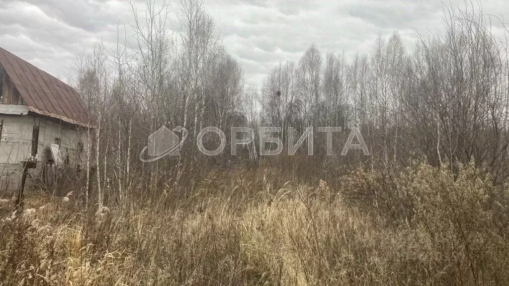 Участок в Тюменская область, Нижнетавдинский район, Фортуна СТ ул. ... - Фото 1