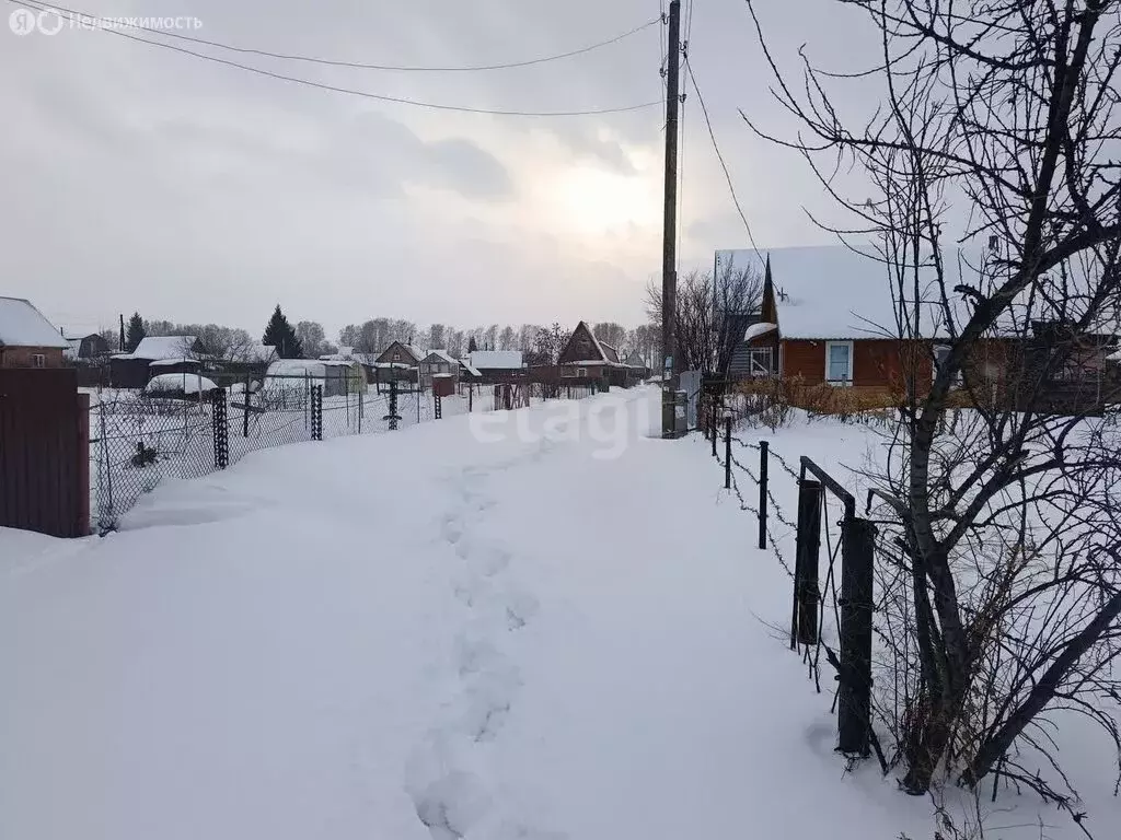 Участок в Толмачёвский сельсовет, садовое товарищество Мечта, 1-я ... - Фото 1