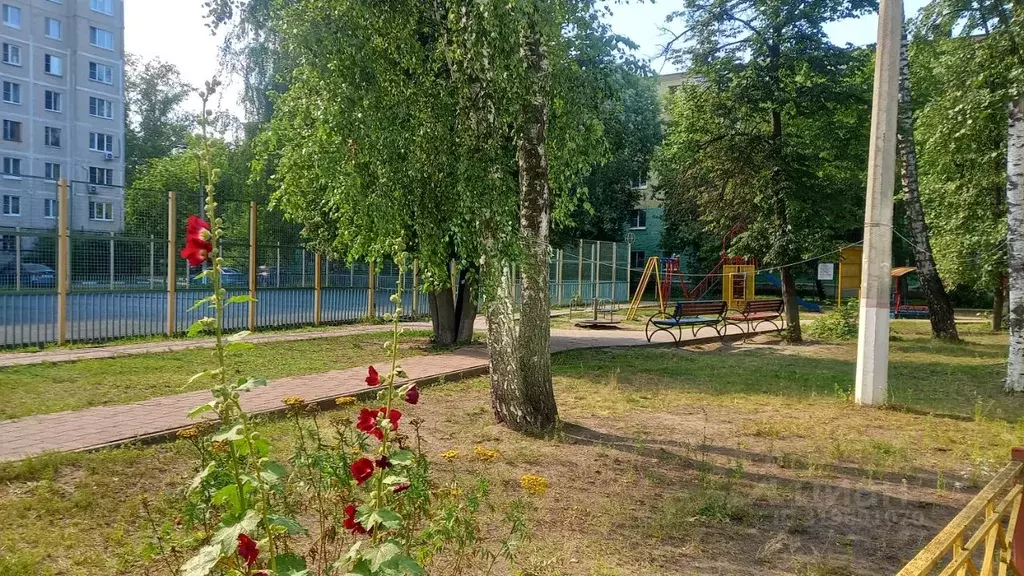 1-к кв. Московская область, Раменское ул. Космонавтов, 11 (30.0 м) - Фото 1