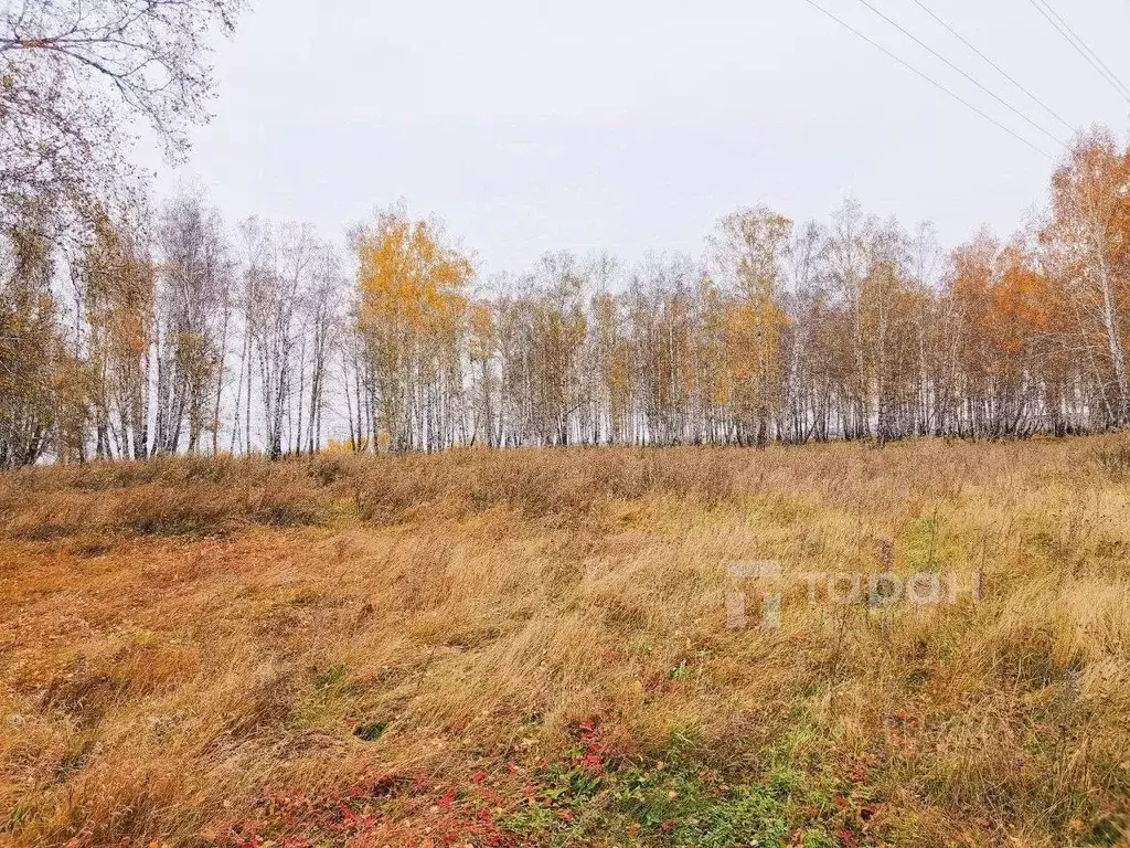 Участок в Челябинская область, Сосновский район, Кременкульское с/пос, ... - Фото 0