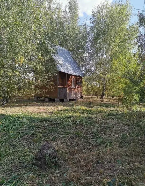 Участок в Московская область, Кашира городской округ, Железня садовое ... - Фото 2