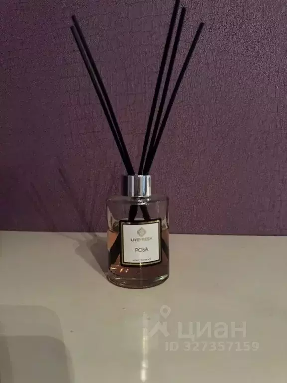 1-к кв. Московская область, Ногинск Богородский городской округ, ул. ... - Фото 2