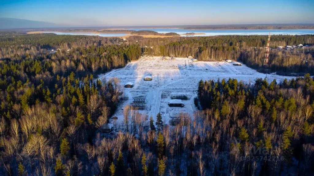Участок в Ленинградская область, Приозерский район, Красноозерное ... - Фото 1