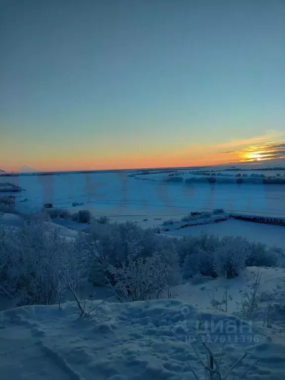 Дом в Ямало-Ненецкий АО, Салехард Полуйская ул. (78 м) - Фото 1