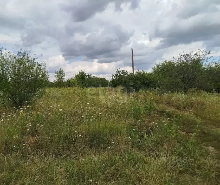 Участок в Белгородская область, Корочанский муниципальный округ, ... - Фото 1
