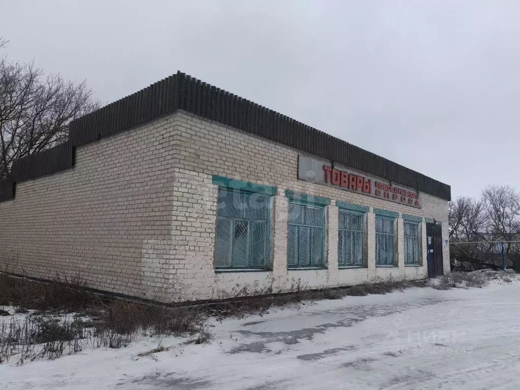 Торговая площадь в Белгородская область, Вейделевский район, Зенинское ... - Фото 1