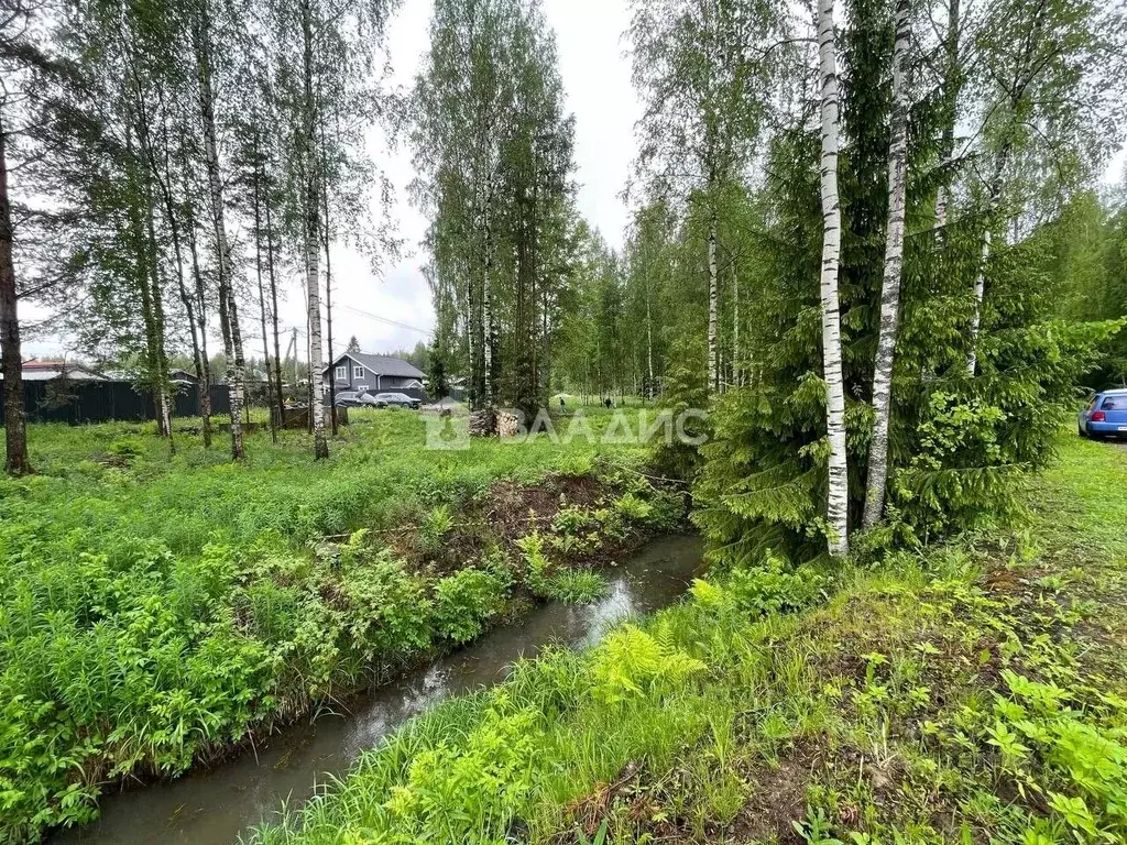 Участок в Ленинградская область, Всеволожский район, Бугровское ... - Фото 2