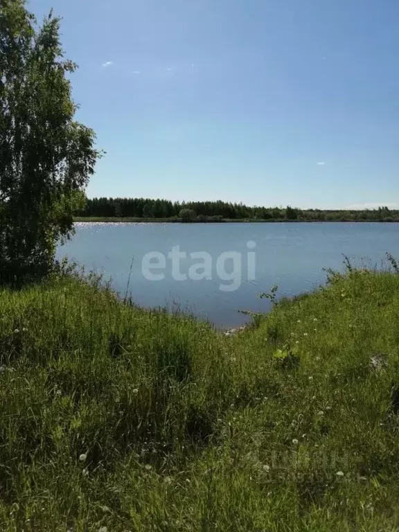 Участок в Ярославская область, Некрасовский район, Красный Профинтерн ... - Фото 1