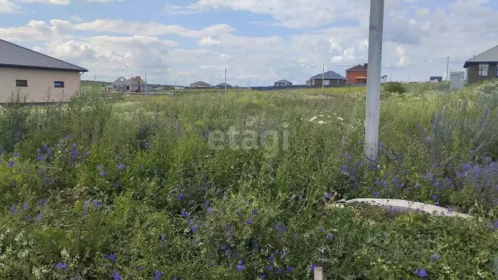 Участок в Белгородская область, Белгородский район, пос. Майский, ... - Фото 0