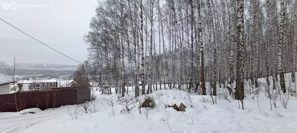 Участок в Златоуст, улица имени Д.И. Менделеева (12.27 м) - Фото 2