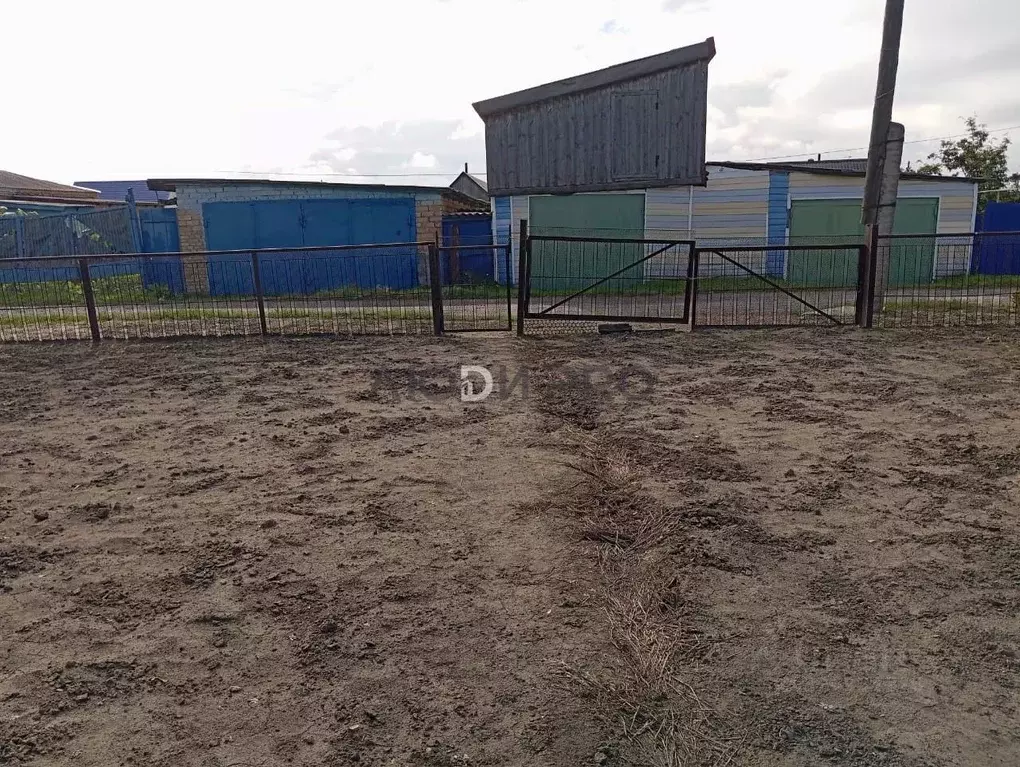 Участок в Алтайский край, Барнаул городской округ, пос. Черницк ул. ... - Фото 1