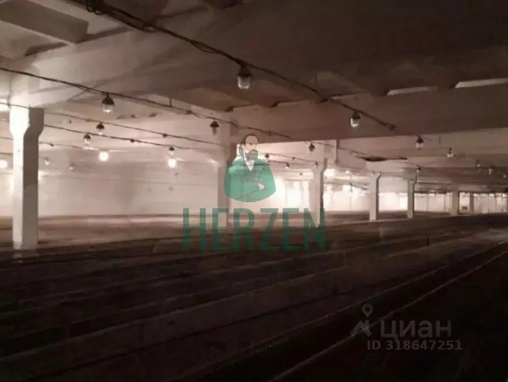 Склад в Московская область, Клин городской округ, с. Воздвиженское 15 ... - Фото 1