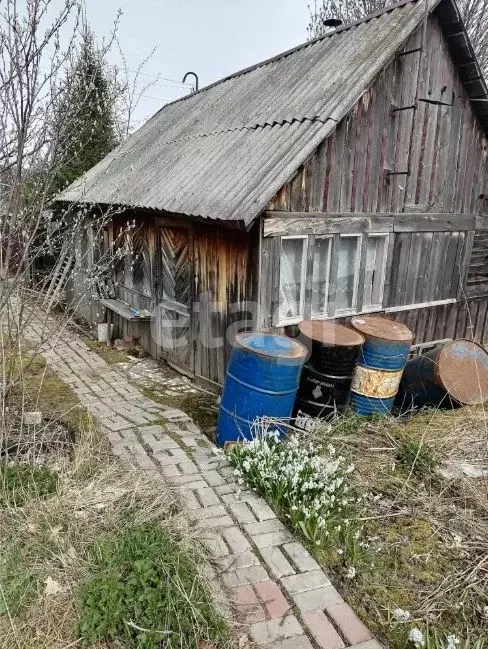 Участок в Томская область, Томск пос. Светлый, Рябинка садовое ... - Фото 1