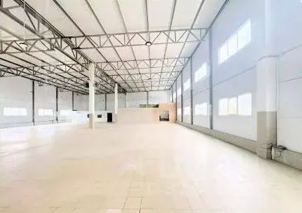 Склад в Ленинградская область, Отрадное Кировский район, Ленинградское ... - Фото 2