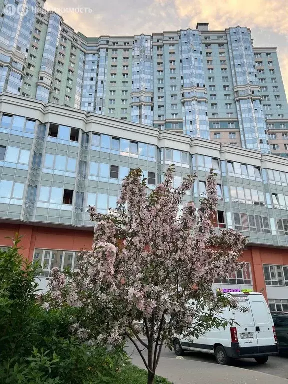 Квартира-студия: Санкт-Петербург, проспект Просвещения, 43 (25.7 м) - Фото 2