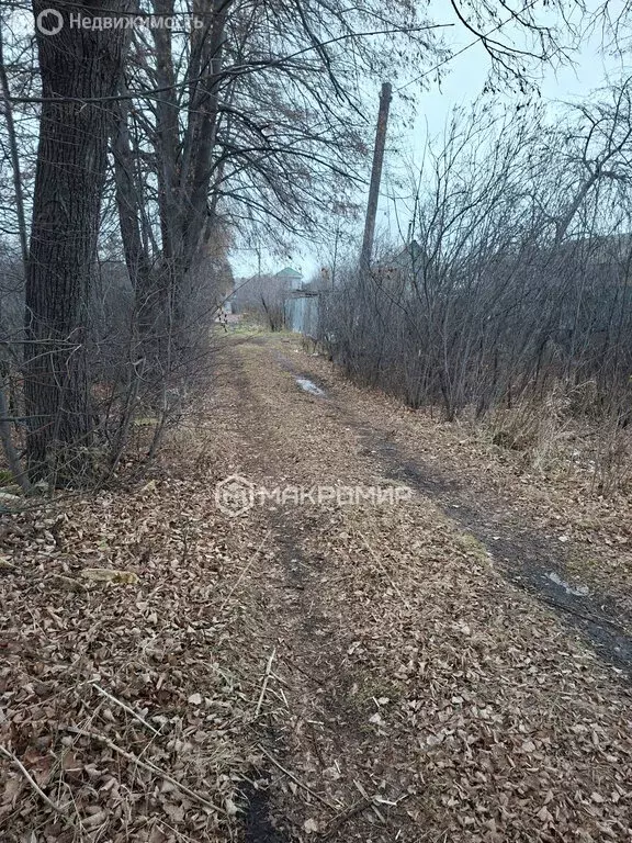 Участок в Челябинск, СНТ Дружба, 1-656 (4.31 м) - Фото 2