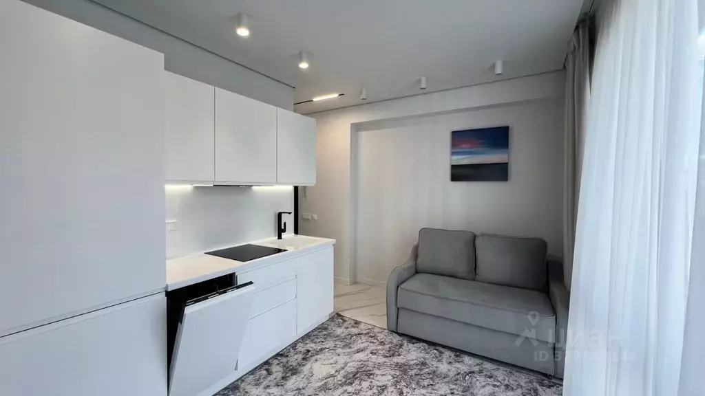 1-к кв. Краснодарский край, Сочи Курортный просп., 96Гк2 (28.0 м) - Фото 1