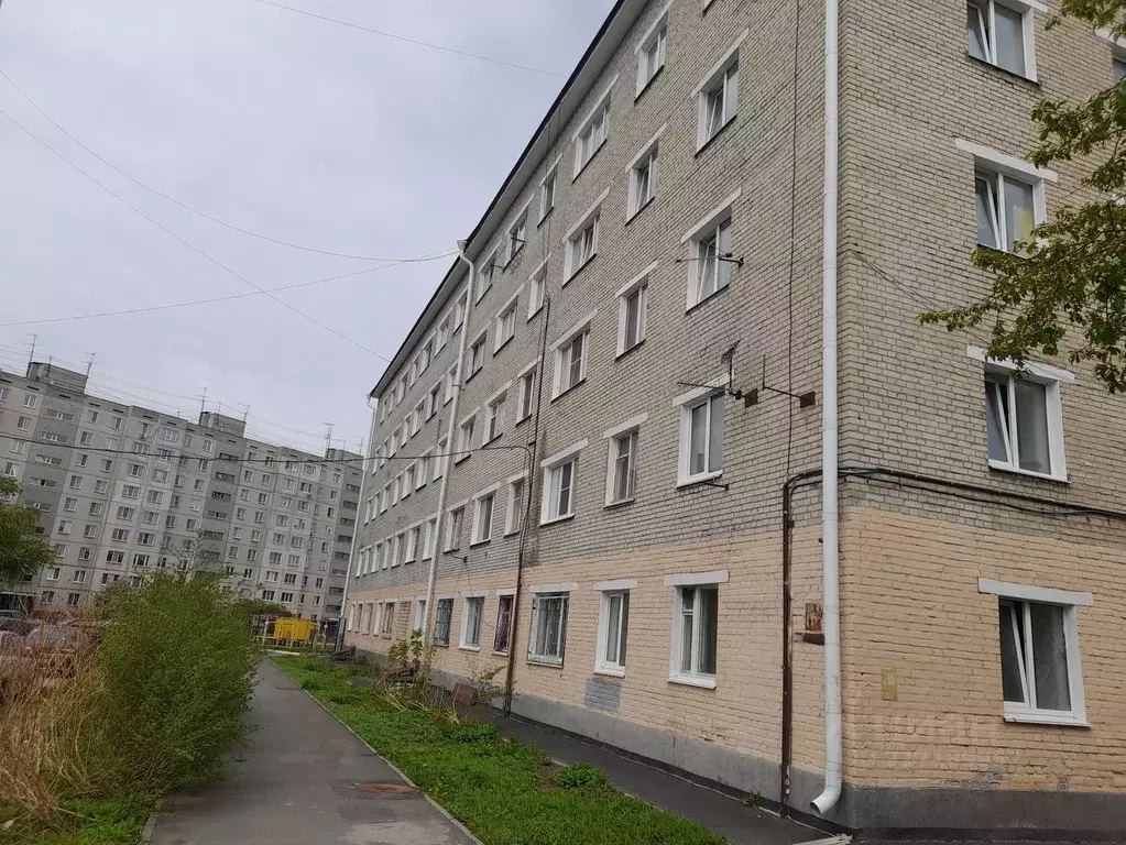 Комната Курганская область, Курган Чернореченская ул., 65 (8.9 м) - Фото 1