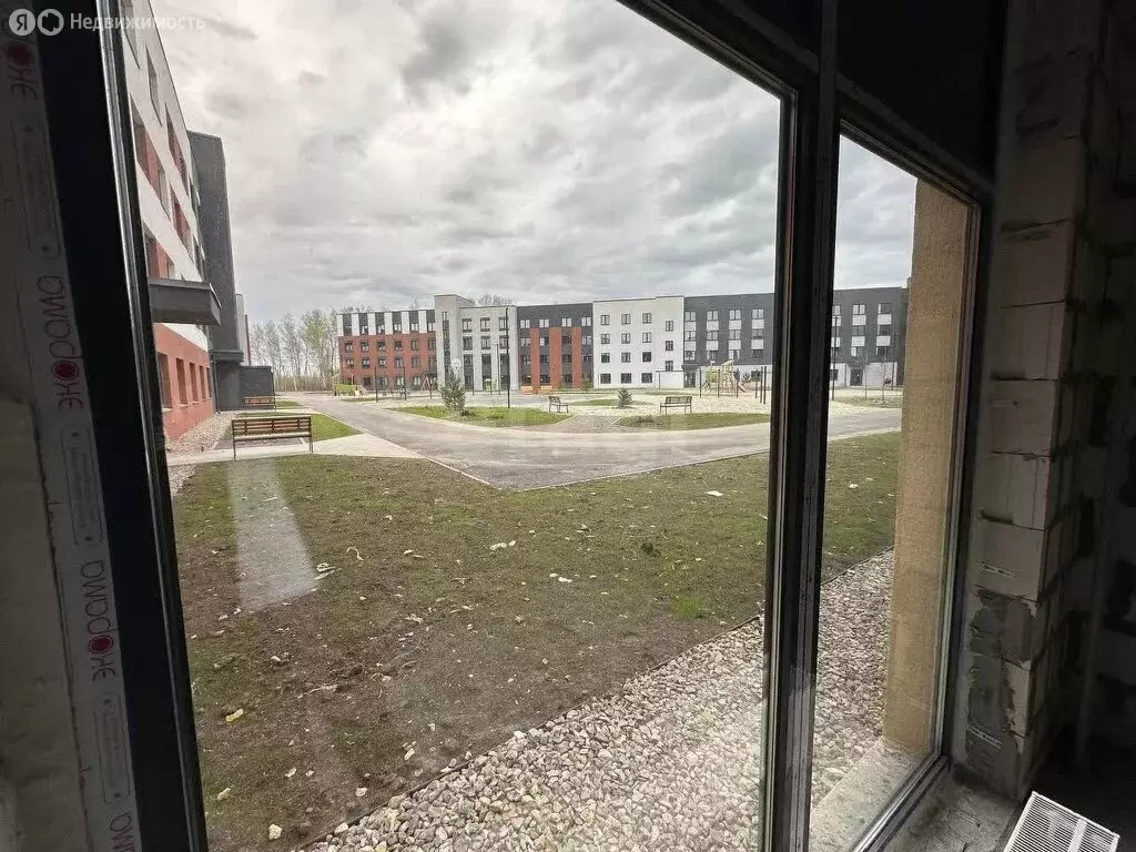 Помещение свободного назначения (231 м) - Фото 2