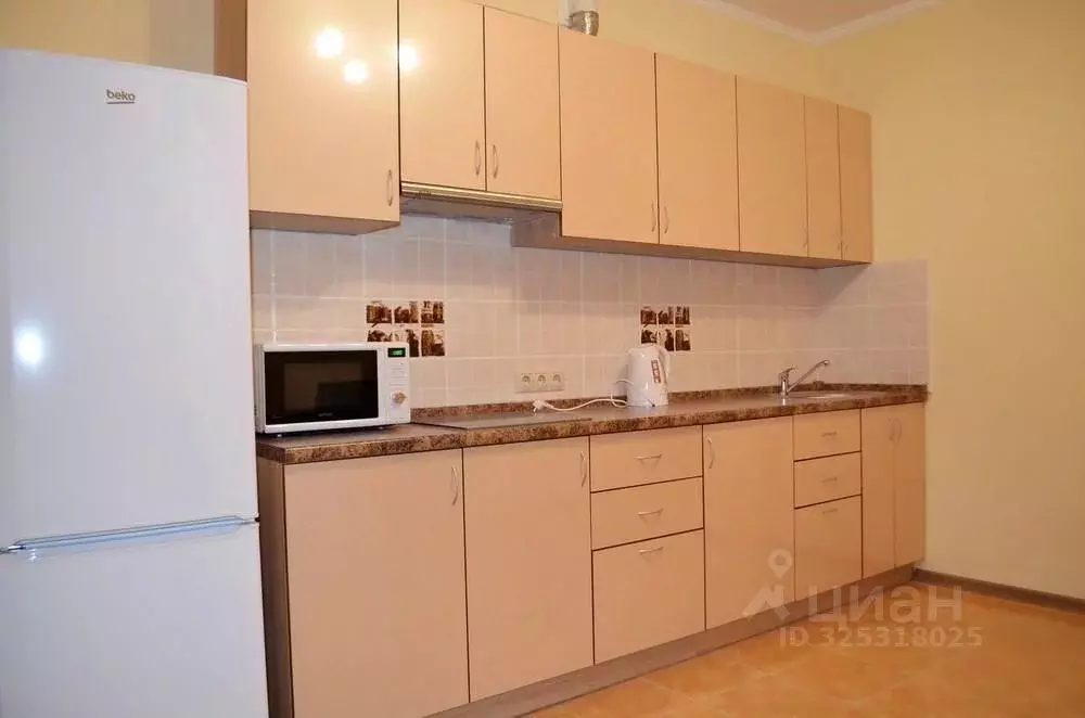 1-к кв. Московская область, Домодедово Авиационный мкр, ул. ... - Фото 1